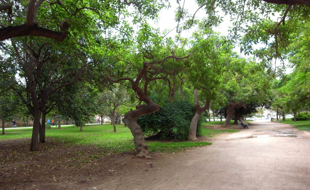 Foto de Valencia (València), España