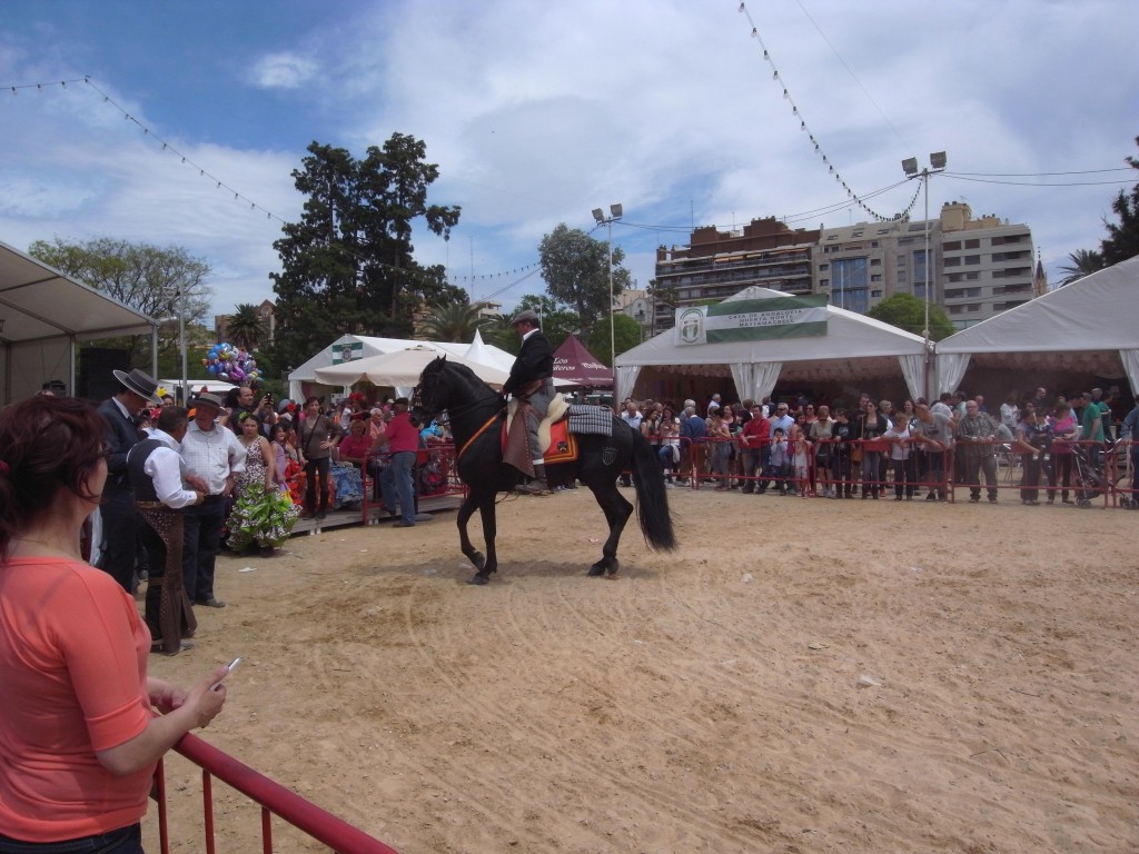 Foto: Dia de Andalucia en Valencia - Valencia (València), España