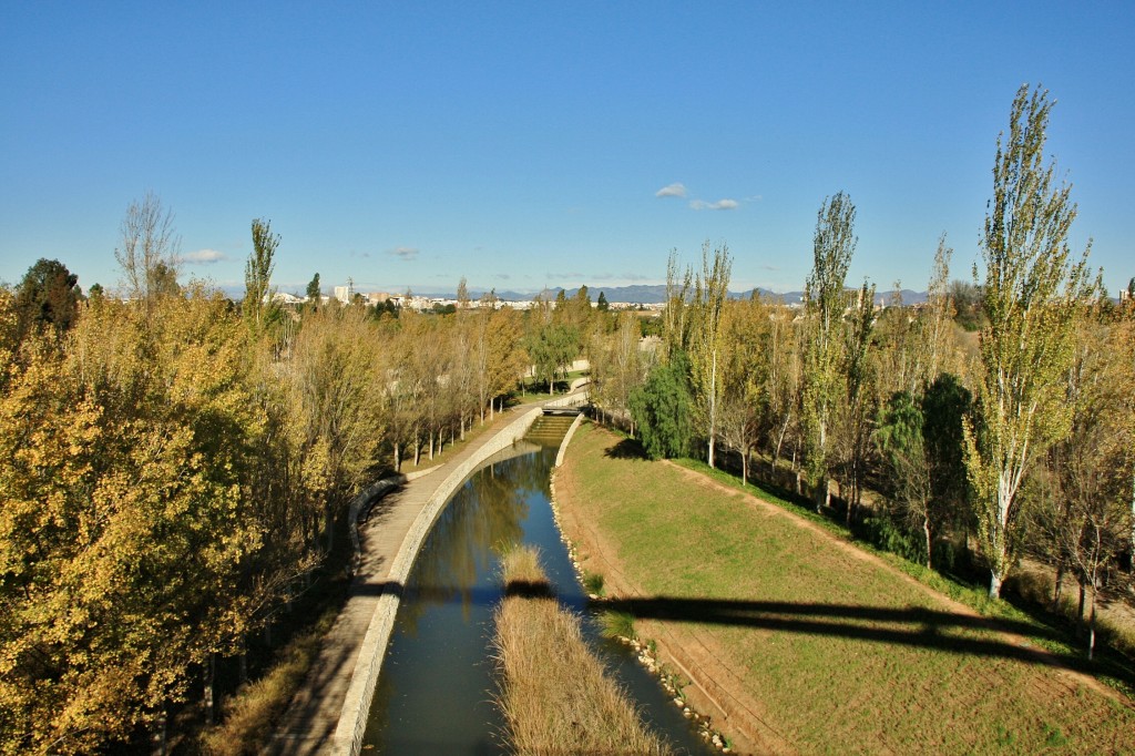 Foto: Bioparc - València (Comunidad Valenciana), España