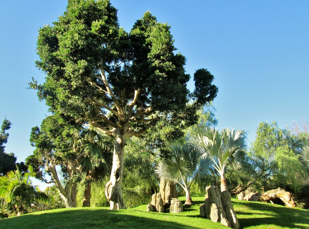 Foto: Bioparc - València (Comunidad Valenciana), España