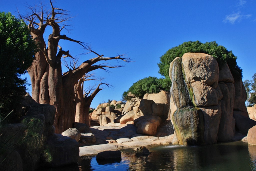 Foto: Bioparc - València (Comunidad Valenciana), España