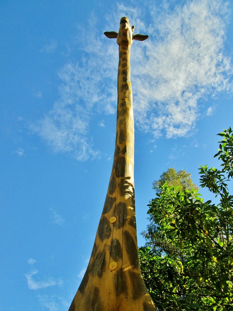 Foto: Bioparc - València (Comunidad Valenciana), España