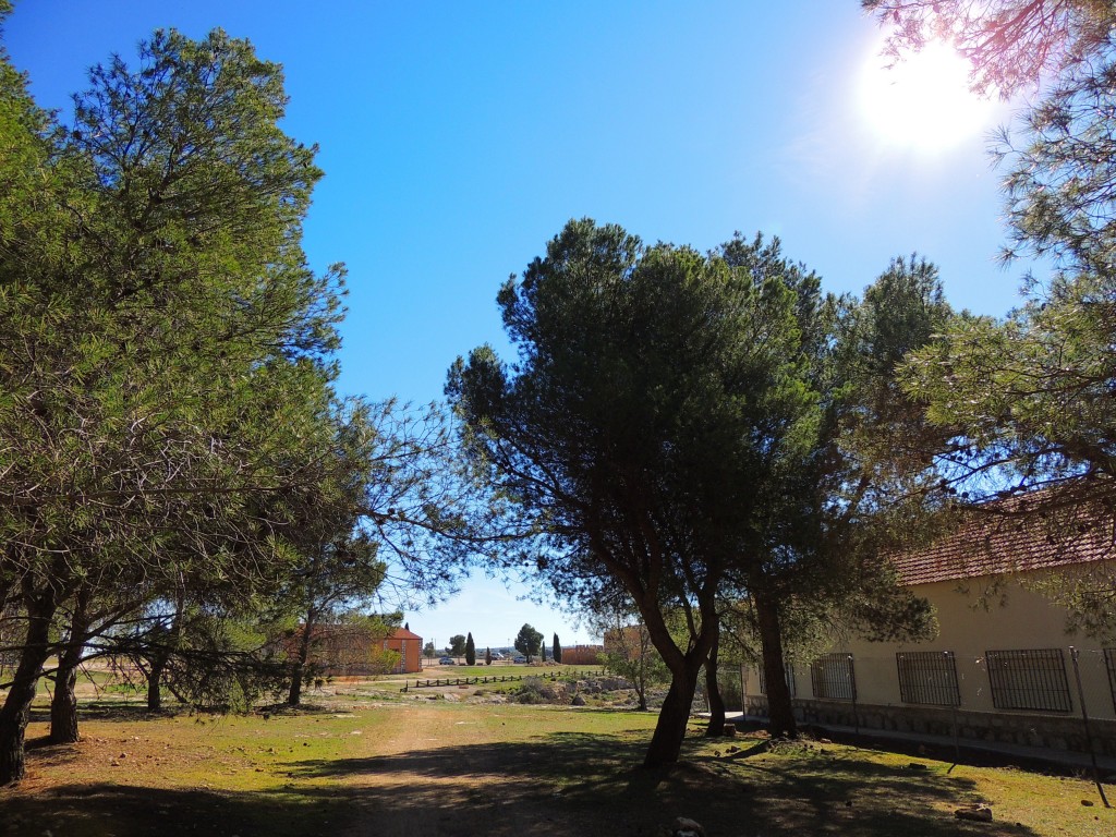 Foto: Peñarroya - Argamasilla de Alba (Ciudad Real), España