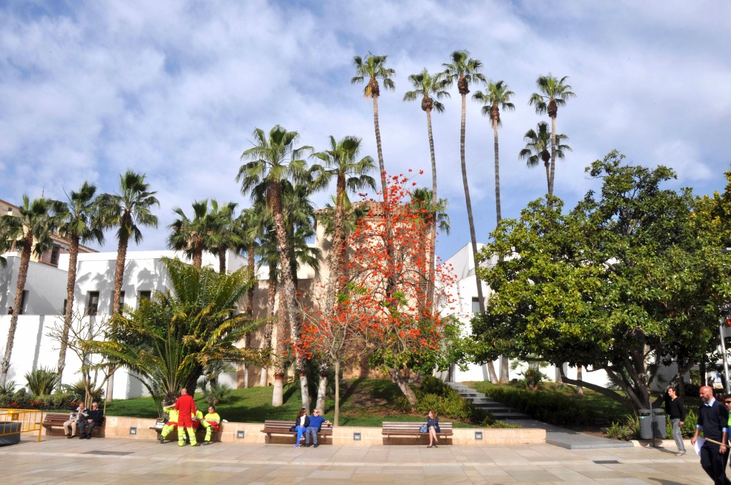 Foto: Jardines de Gibralfaro - Malaga (Málaga), España