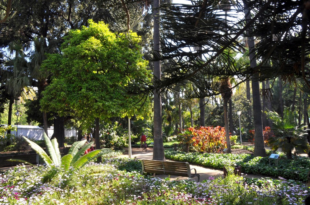 Foto: Jardines del paseo - Malaga (Málaga), España