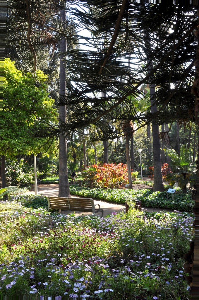 Foto: Jardines del paseo - Malaga (Málaga), España