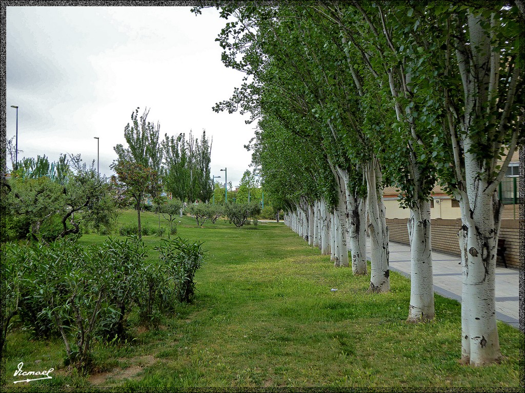 Foto: 150503-64 ZARAGOZA - Zaragoza (Aragón), España