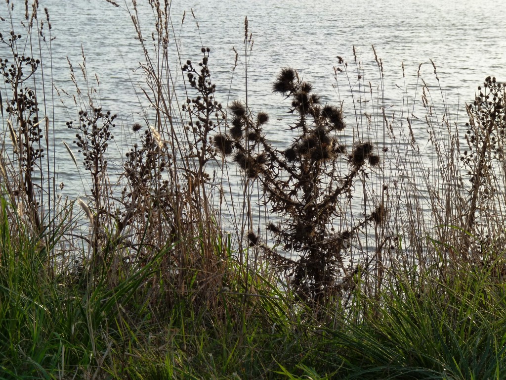 Foto: Laguna de los Padres - Mar del Plata (Buenos Aires), Argentina