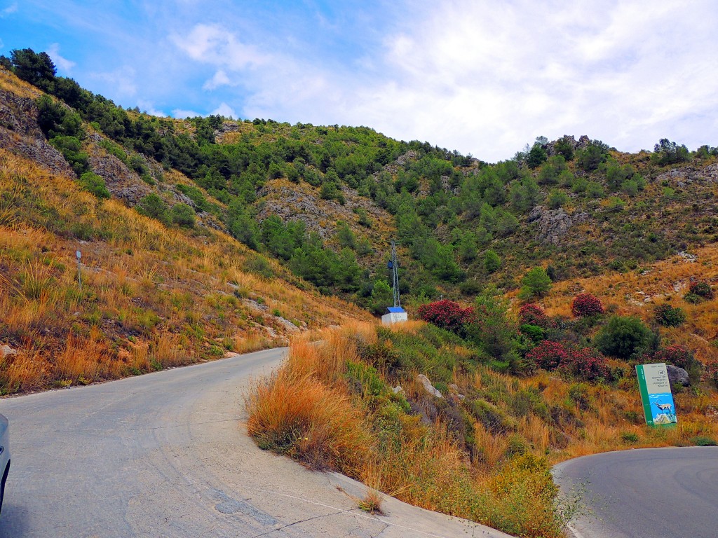 Foto: Hacia Pozo Lizar - Frigiliana (Málaga), España