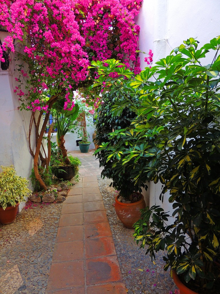 Foto de Frigiliana (Málaga), España