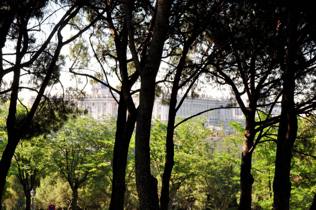 Foto: Palacio Real - Madrid (Comunidad de Madrid), España