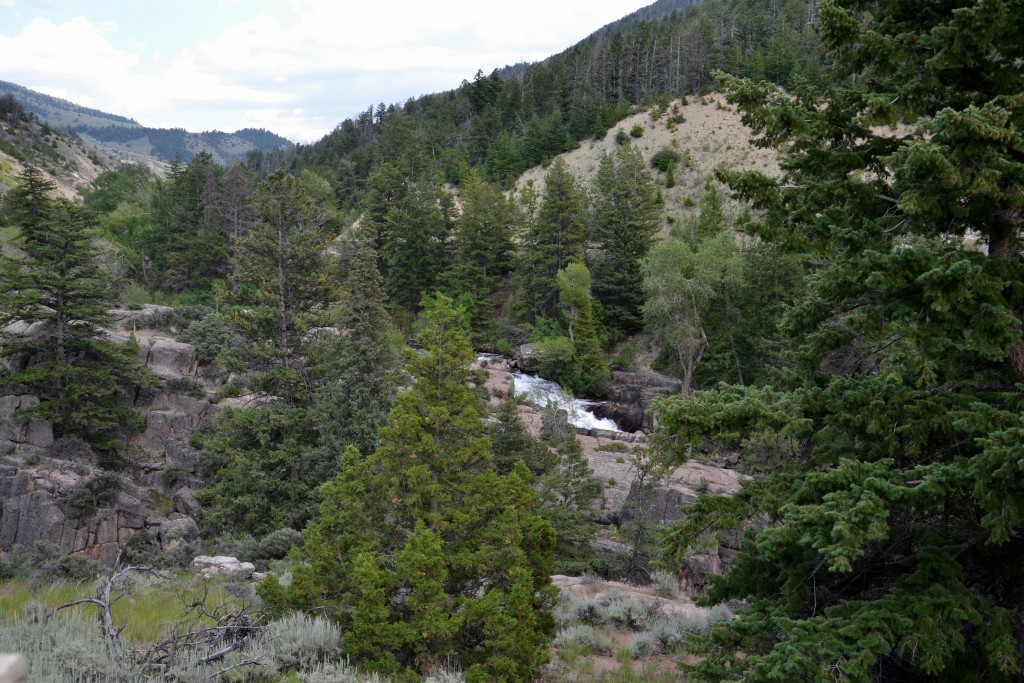 Foto: Bighorn National Forest - Búfalo (Wyoming), Estados Unidos