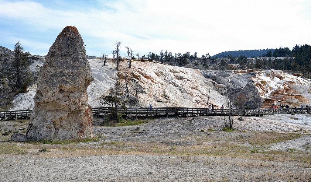 Foto: Mammoth Hot Springs - Yellowstone NP (Wyoming), Estados Unidos