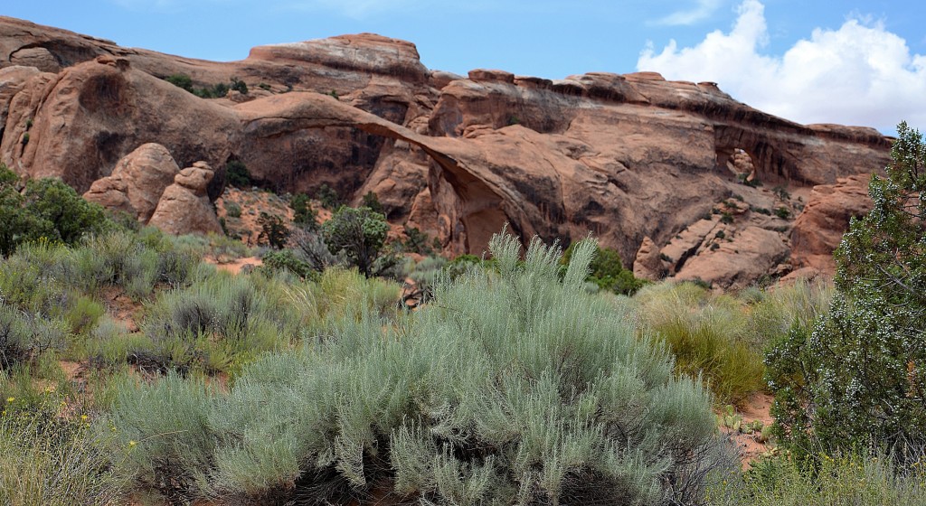 Foto: Landscape Arch - Arches NP (Utah), Estados Unidos