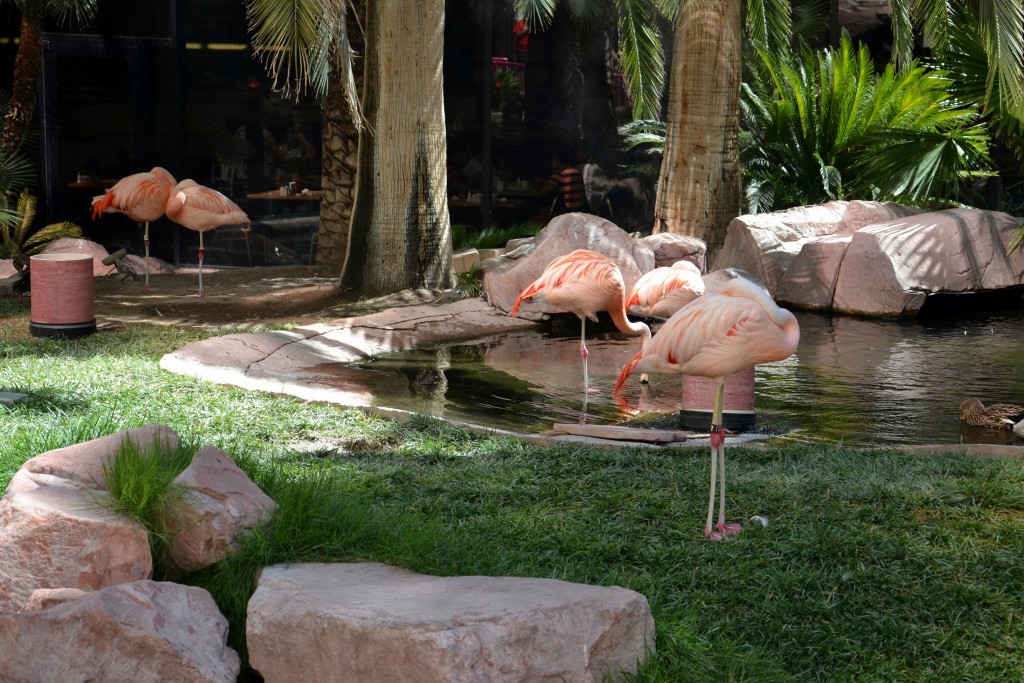 Foto: Flamingo Las Vegas - Las Vegas (Nevada), Estados Unidos