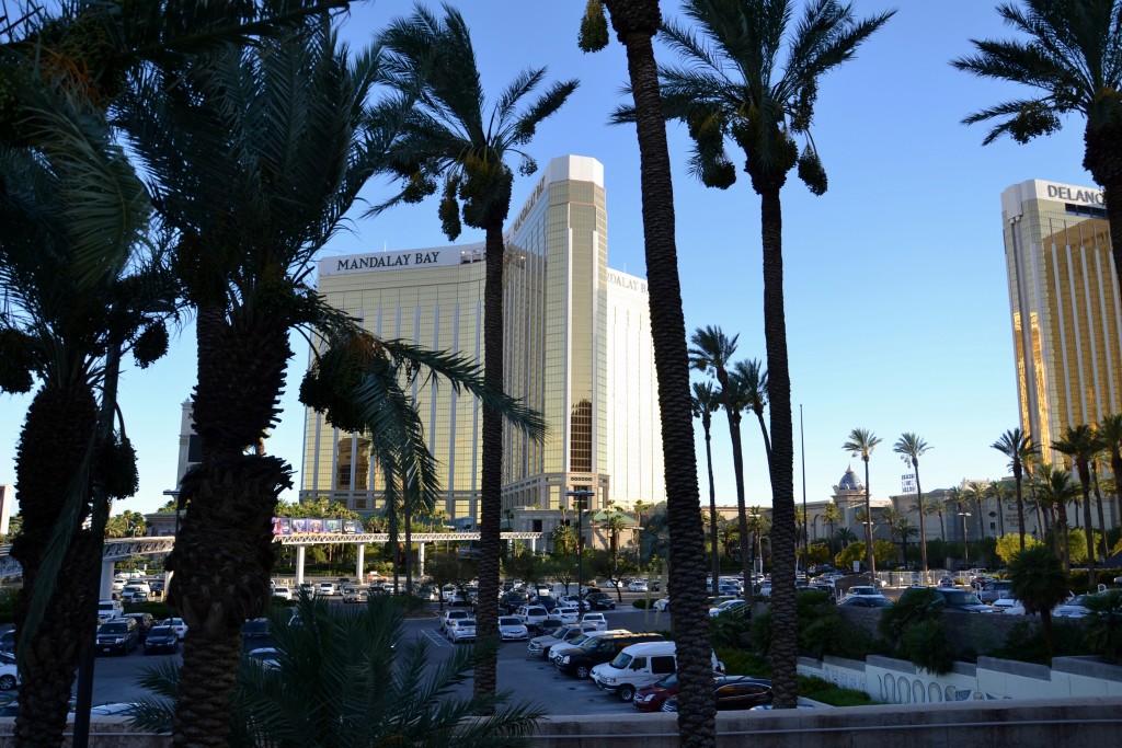 Foto: Mandalay Bay - Las Vegas (Nevada), Estados Unidos