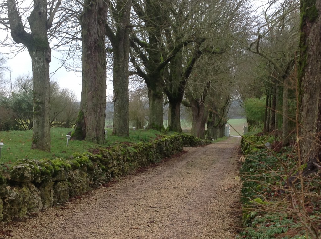 Foto de Noyers, Francia