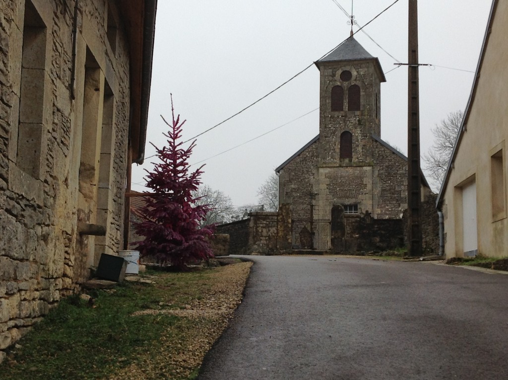 Foto de Saint Germain Source Seine, Francia