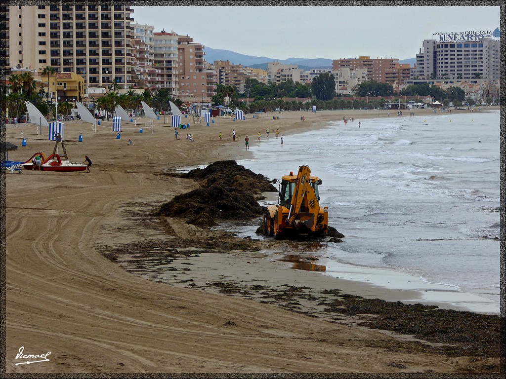 Foto: 150908-04 OROPESA DEL MAR - Oropesa Del Mar (Castelló), España