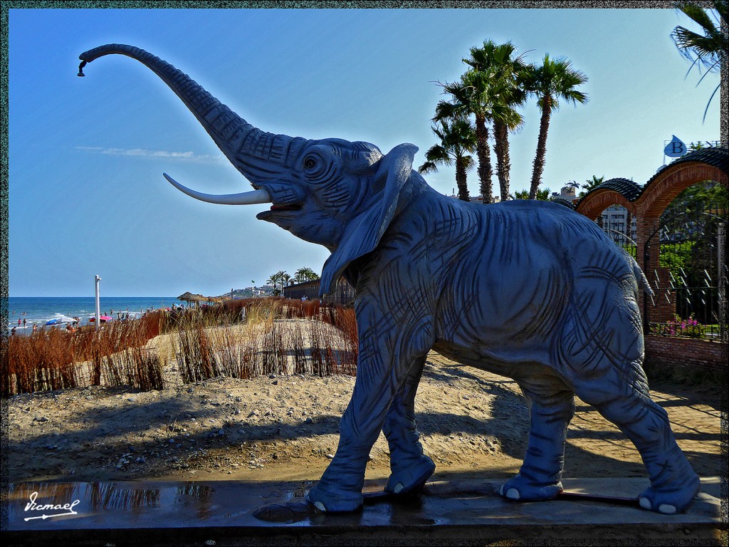 Foto: 150624-14 OROPESA MARINADOR - Oropesa Del Mar (Castelló), España