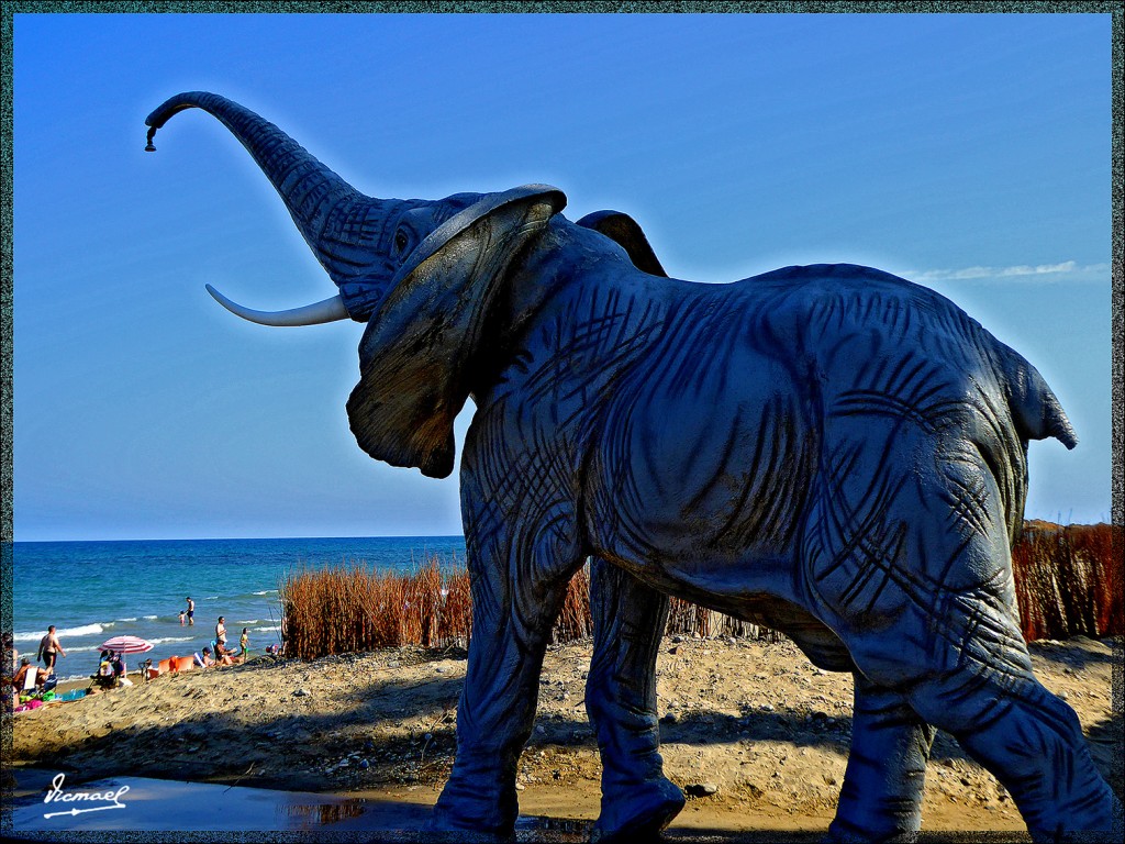 Foto: 150624-13 OROPESA MARINADOR - Oropesa Del Mar (Castelló), España