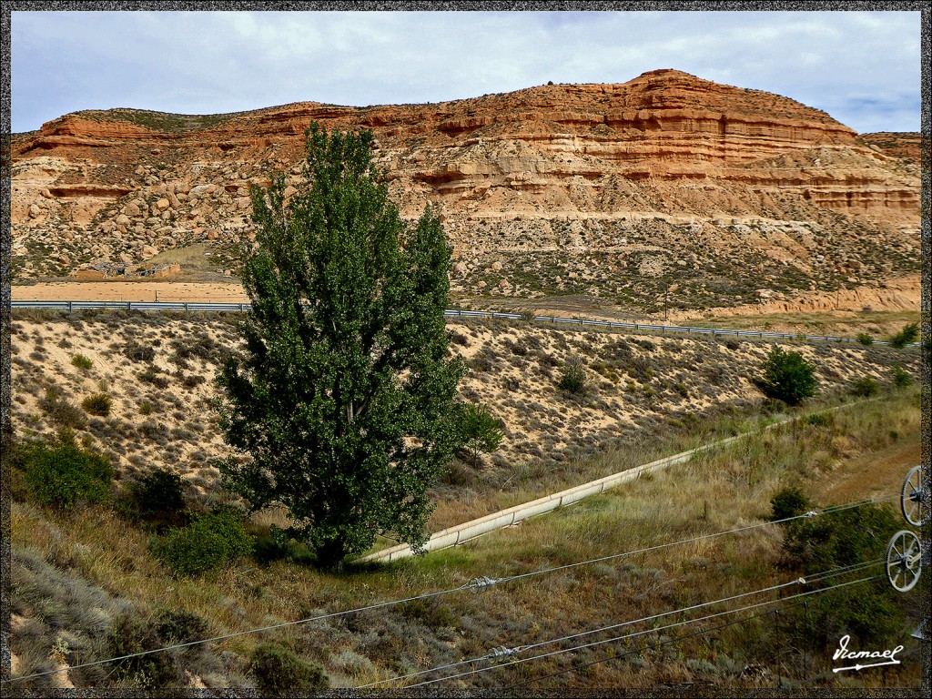 Foto: 150815-04 MONTUENGA - Montuenga (Soria), España