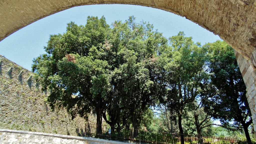 Foto: Castillo - Massa Marittima (Tuscany), Italia