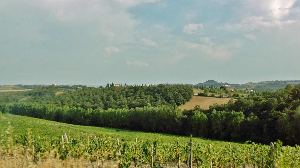 Foto: Paisaje - San Gimignano (Tuscany), Italia