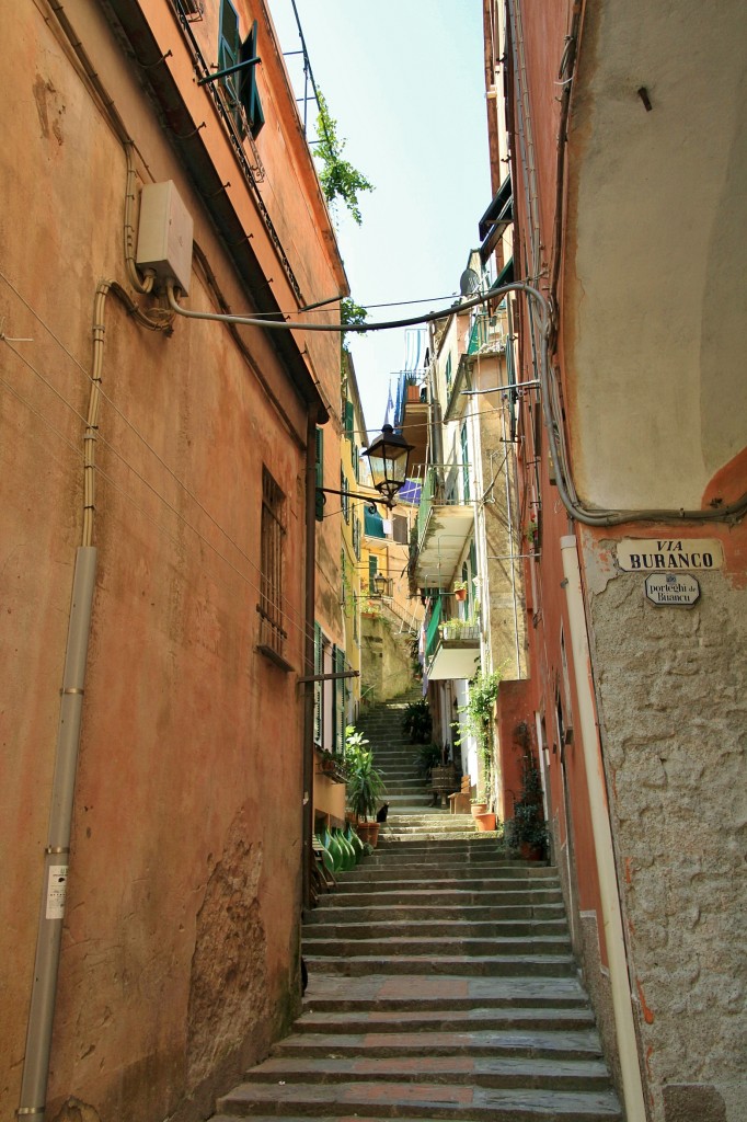 Foto: Centro histórico - Monterosso al Mare (Liguria), Italia