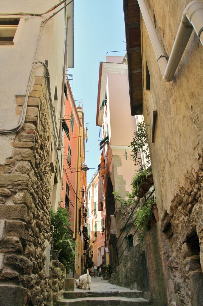 Foto: Centro histório - Vernazza (Liguria), Italia