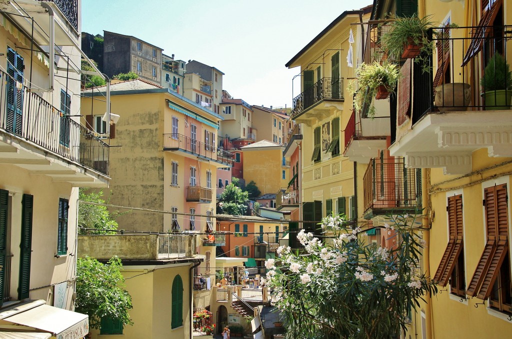 Foto: Centro histórico - Manarola (Liguria), Italia