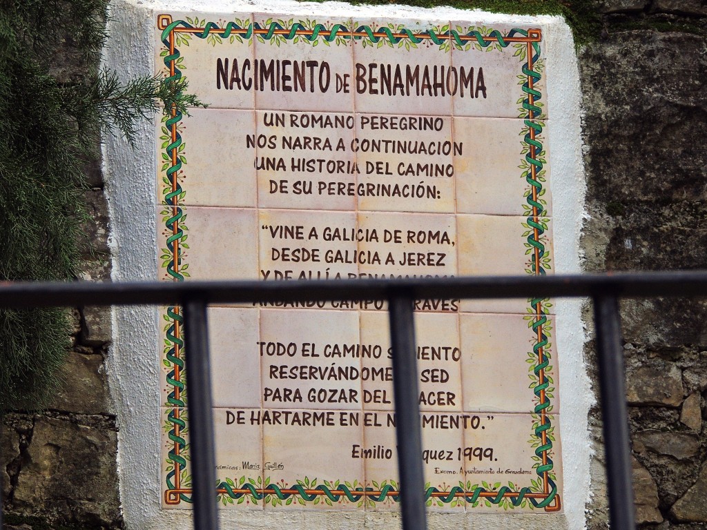 Foto de Benamahoma (Cádiz), España