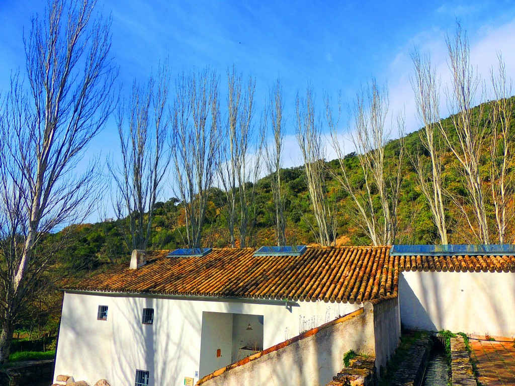 Foto de Benamahoma (Cádiz), España