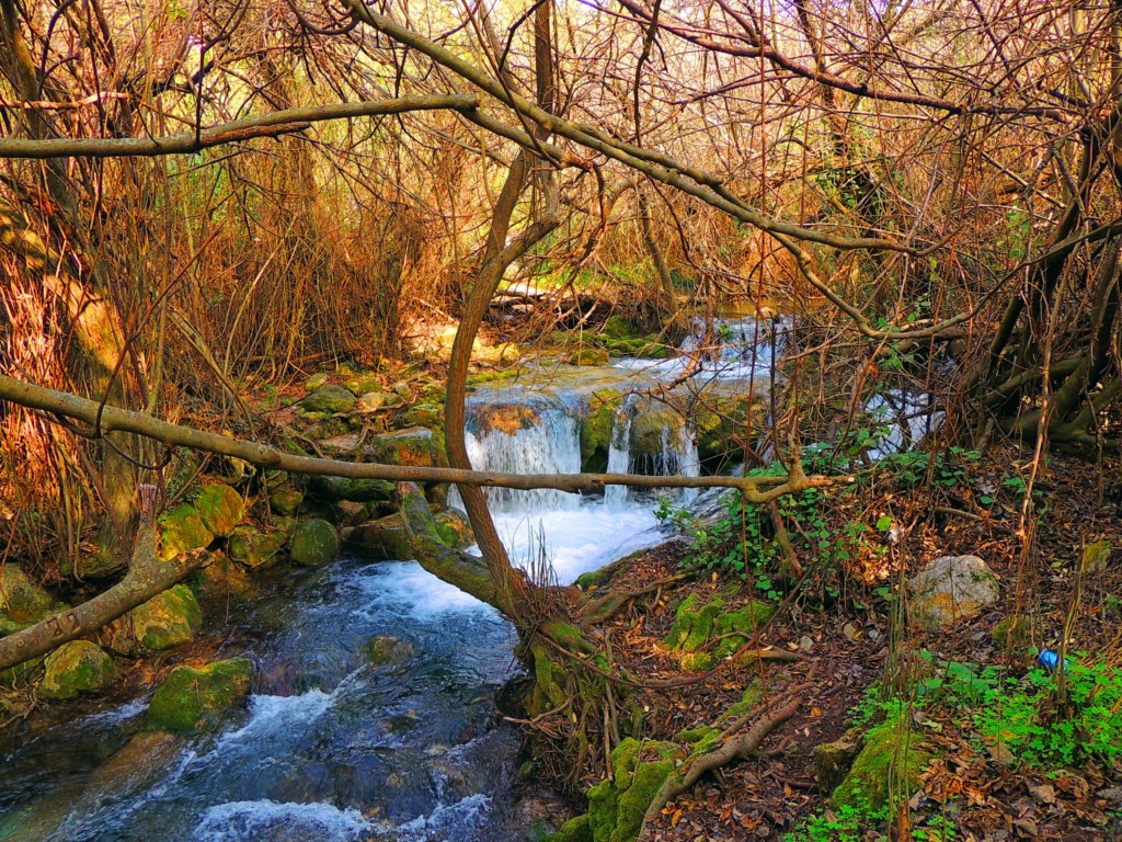 Foto de Benamahoma (Cádiz), España