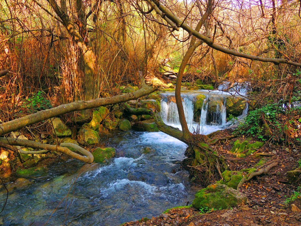 Foto de Benamahoma (Cádiz), España