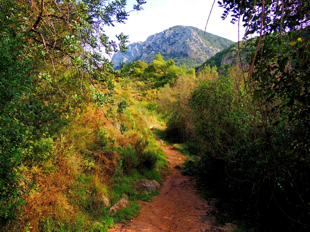 Foto de Benamahoma (Cádiz), España