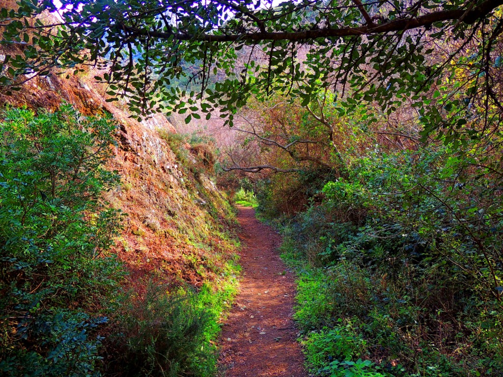 Foto de Benamahoma (Cádiz), España