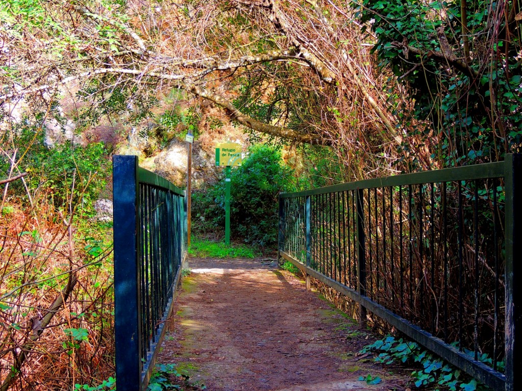 Foto de Benamahoma (Cádiz), España