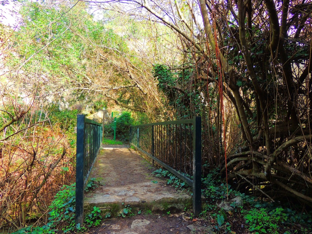 Foto de Benamahoma (Cádiz), España