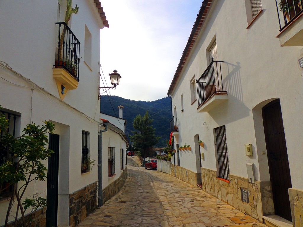 Foto de Benamahoma (Cádiz), España