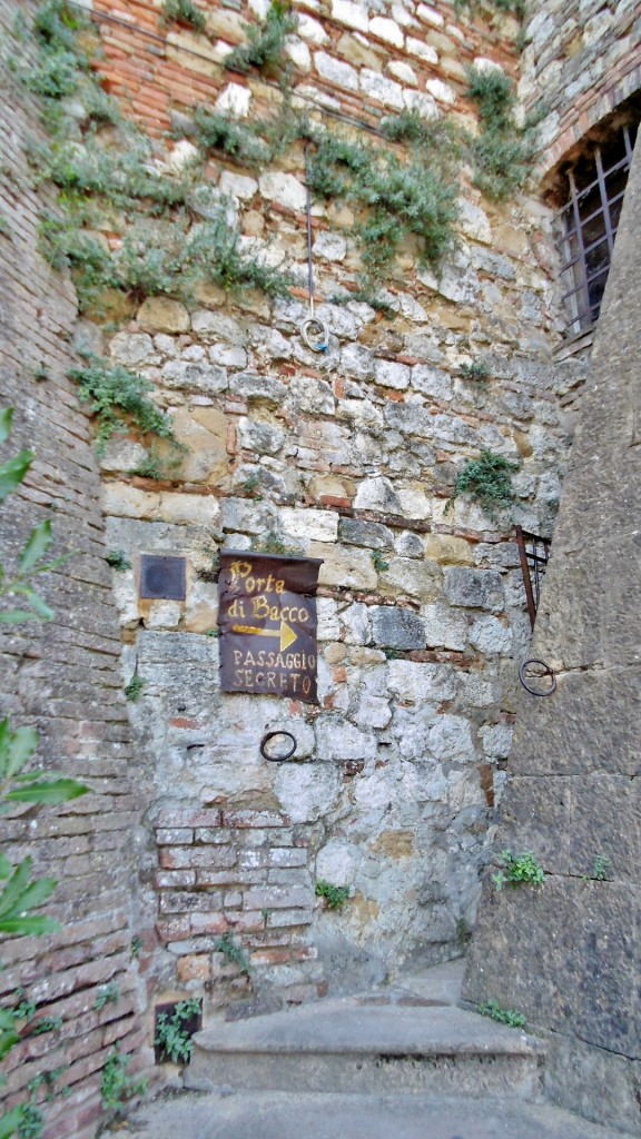 Foto: Muralla - Montepulciano (Tuscany), Italia