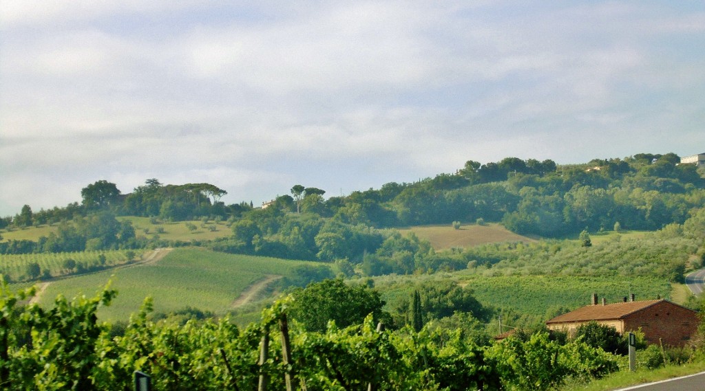 Foto: Paisaje - Montepulciano (Tuscany), Italia