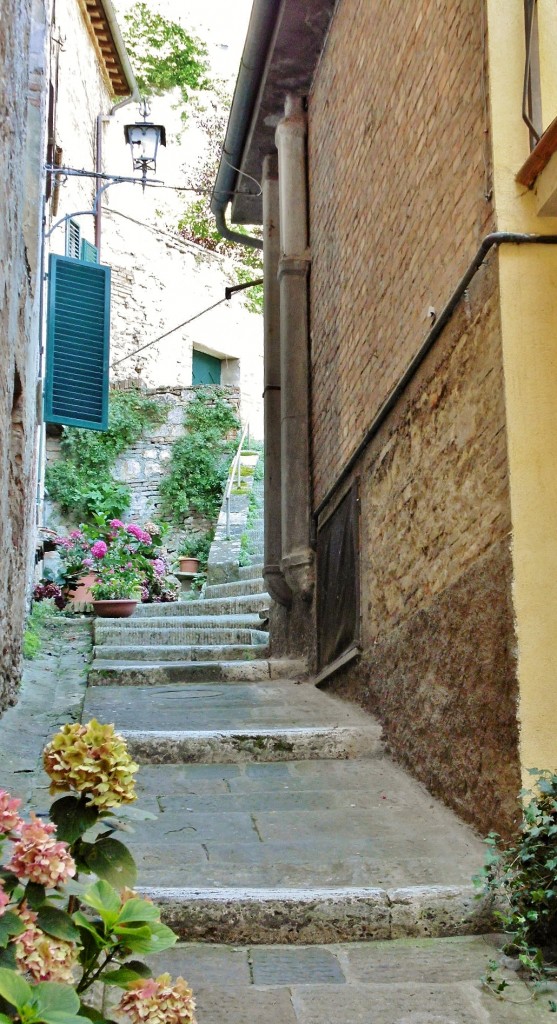 Foto: Centro histórico - Montepulciano (Tuscany), Italia