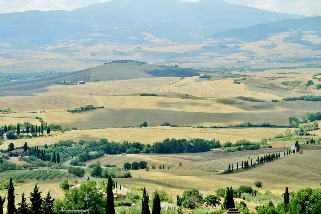 Foto: Paisaje - Pienza (Tuscany), Italia