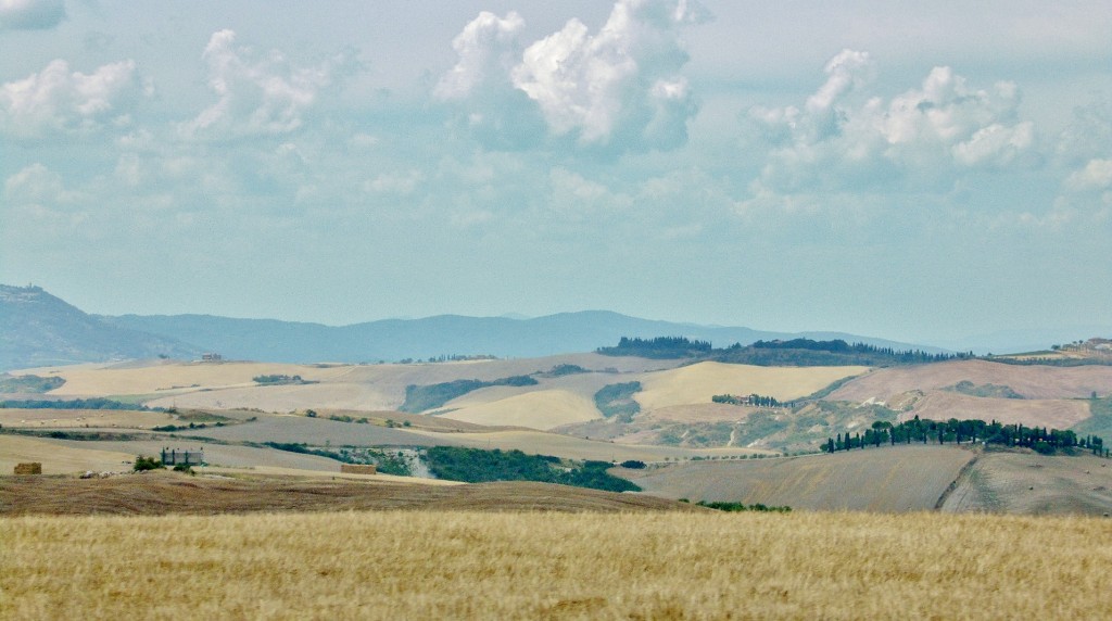 Foto: Paisaje - San Quirico d´Orcia (Tuscany), Italia