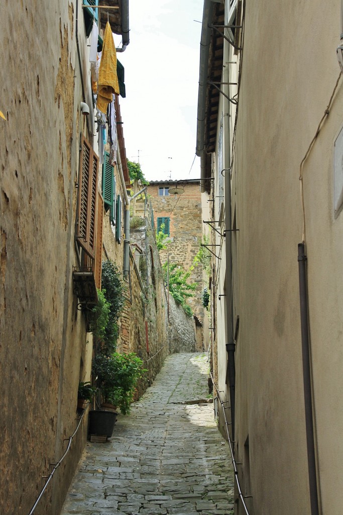 Foto: Centro histórico - Montalcino (Tuscany), Italia