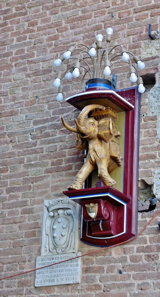 Foto: Centro histórico - Siena (Tuscany), Italia