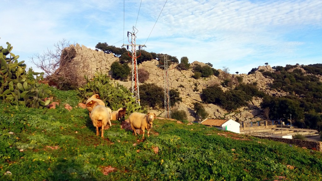 Foto de Villaluenga del Rosario (Cádiz), España