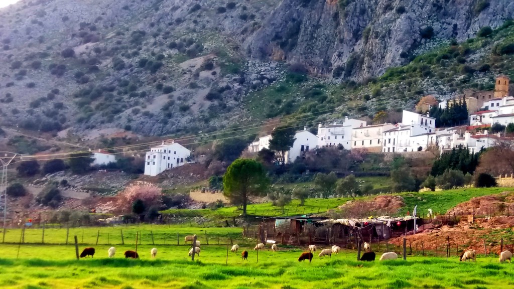 Foto de Villaluenga del Rosario (Cádiz), España