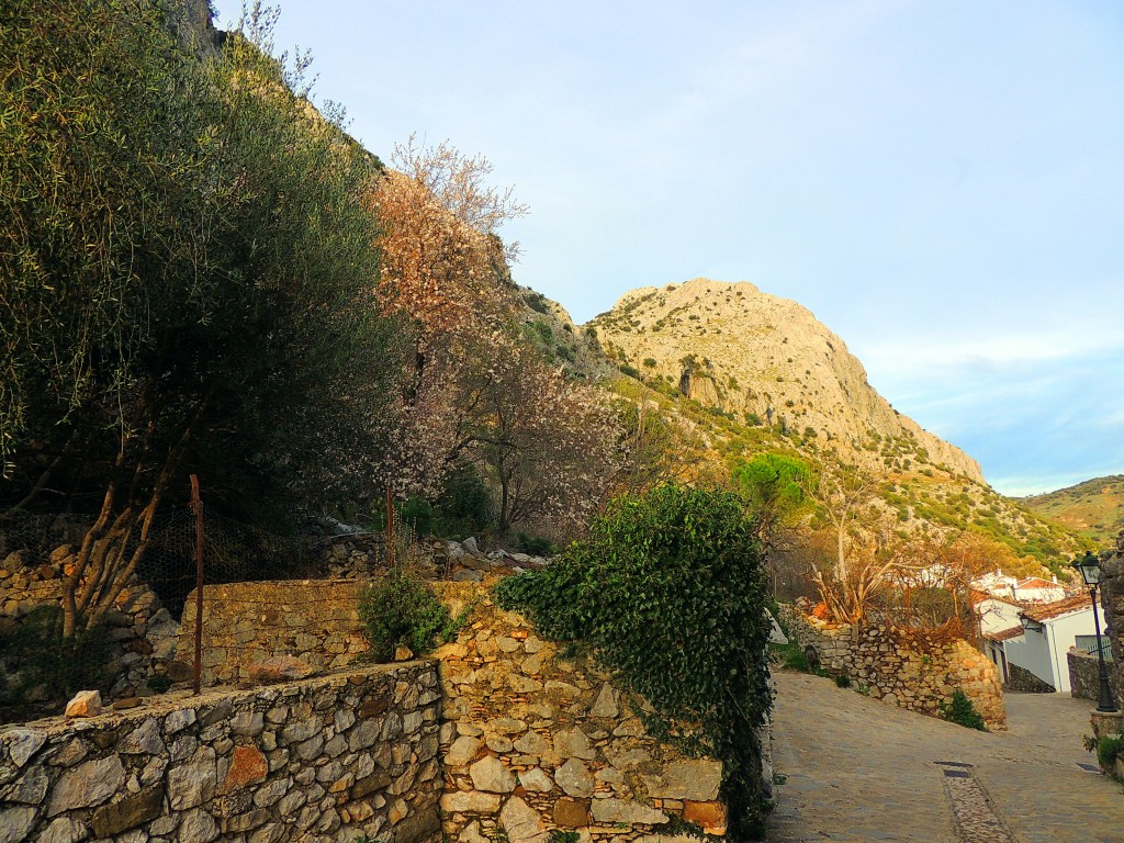 Foto de Villaluenga del Rosario (Cádiz), España